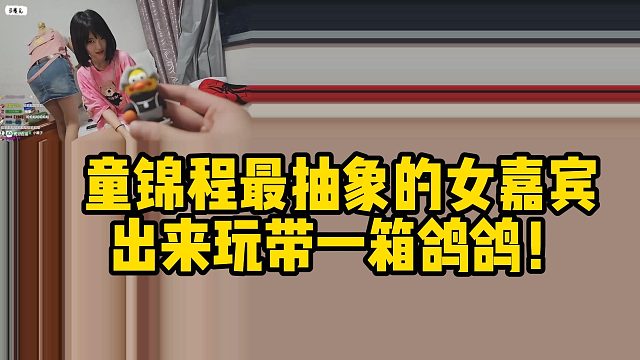 童锦程最抽象的女嘉宾出来玩带一箱鸽鸽！