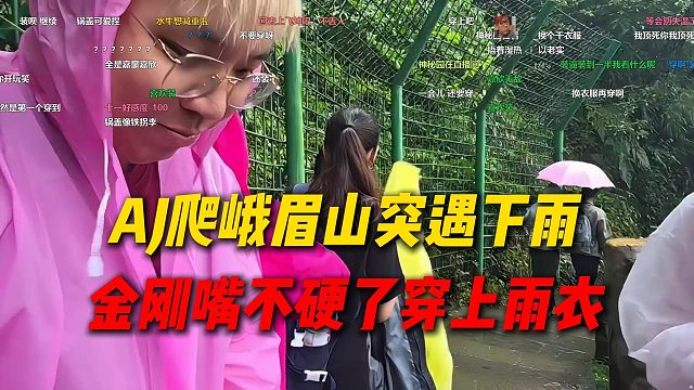 AJ爬峨眉山突遇下雨，开始嘴硬不穿雨衣，淋了一会金刚嘴不硬了瞬间穿上雨衣
