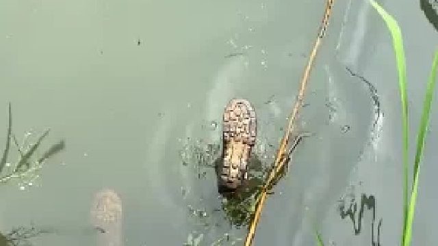 什么情况