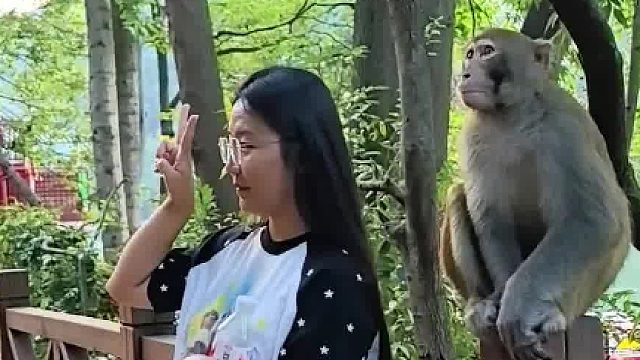 喜提一针狂犬疫苗​