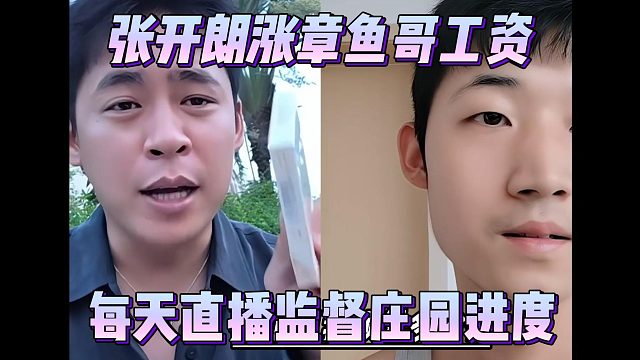 张开朗涨章鱼哥工资，每天直播监督庄园进度