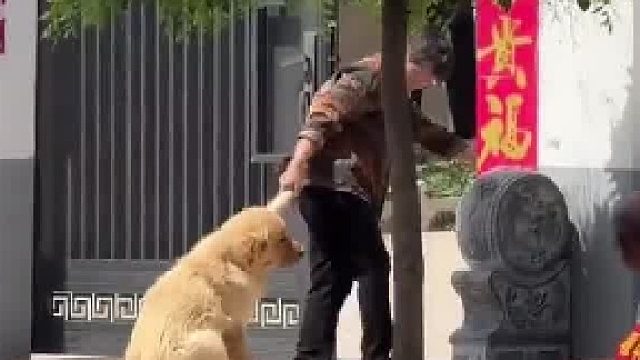 像不像小时候的自己​