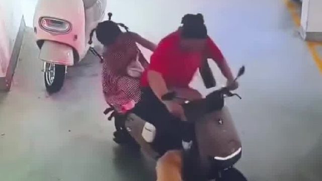 对于怕狗的人来说，这种情况真的要被吓死