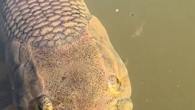 野外钓鱼时，记得仔细看看