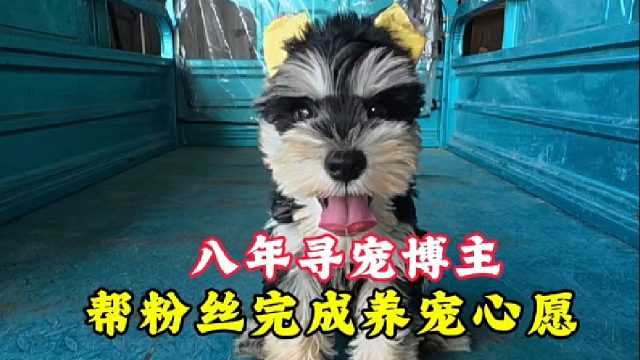 开封八年寻宠博主，帮粉丝完成养宠心愿，让新手养宠避坑不踩雷！
