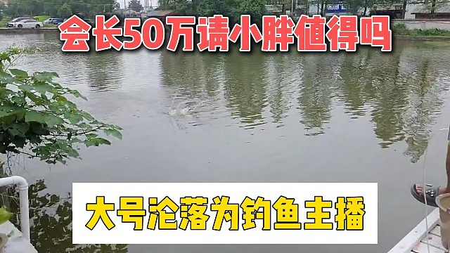 会长50万请小胖值得吗，大号沦落为钓鱼主播