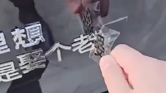 订婚喜讯