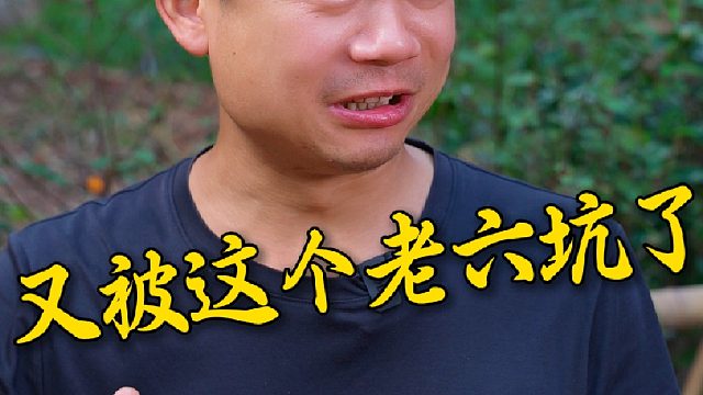 天天上一当，当当不一样~