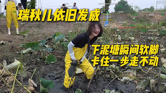 瑞秋儿泥塘挖藕依旧发威，下泥塘瞬间软脚，卡在原地一步走不动
