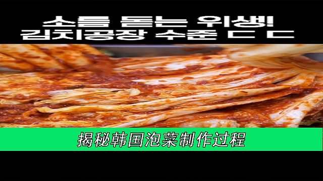 揭秘韩国泡菜制作过程