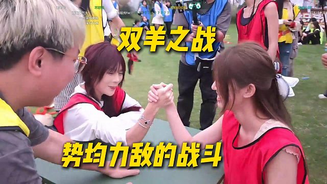 双羊之战！老羊和一只羊对决掰手腕，绝对势均力敌的战斗