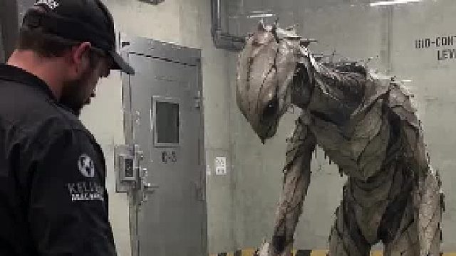 不明生物这是做什么