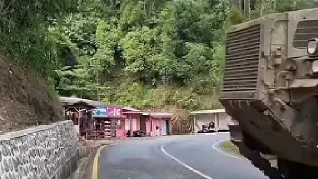 过去的爬山虎