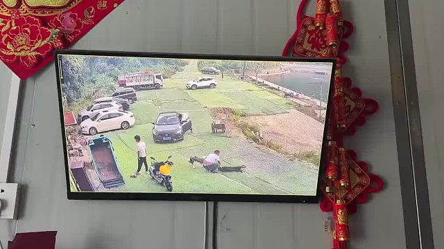 车上的大哥都已经懵了吧