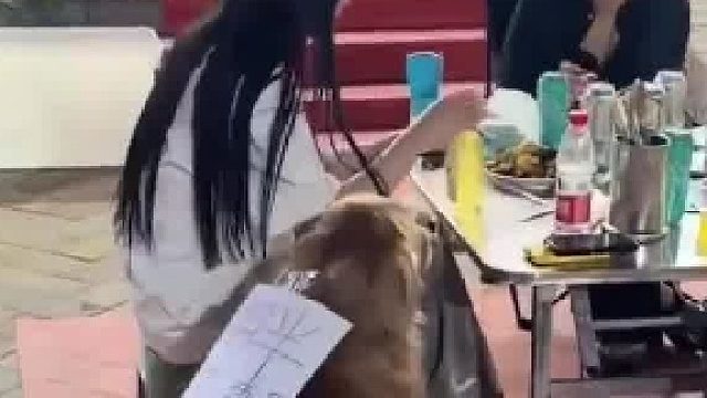 狗子在烤肉店蹭吃蹭喝，老板无奈贴纸条防投喂