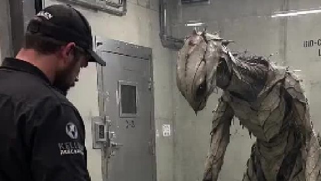 不明生物这是做什么