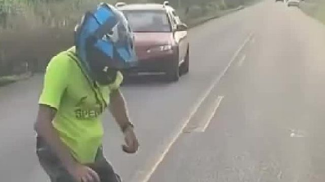 救树懒反被攻击！野生树懒不能随便碰