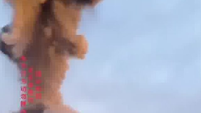 剪了几十秒视频。