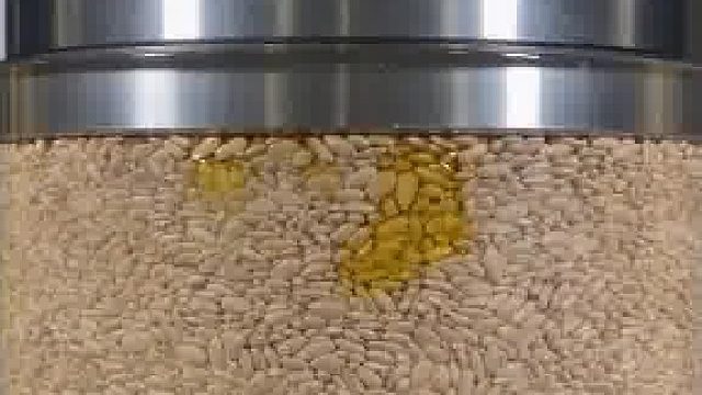 液压机从葵花籽中提取油​
