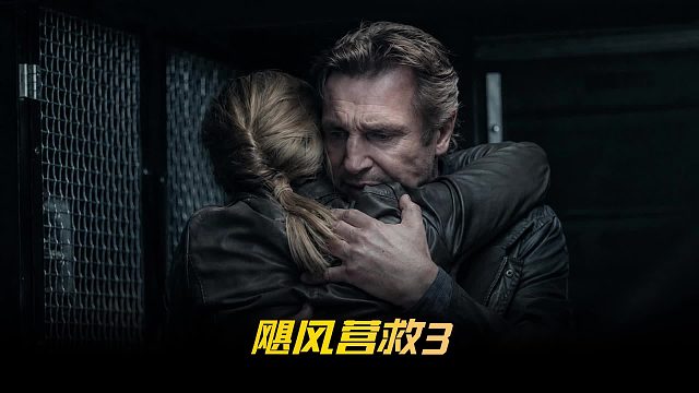 连姆尼森终极一战！一边躲警察一边灭黑帮