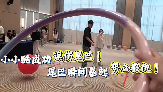 尾巴惨遭小小酷误伤后突然暴起势必要报仇！