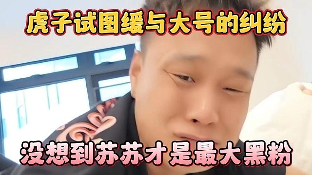 虎子试图缓与大号的纠纷，没想到苏苏才是最大黑粉