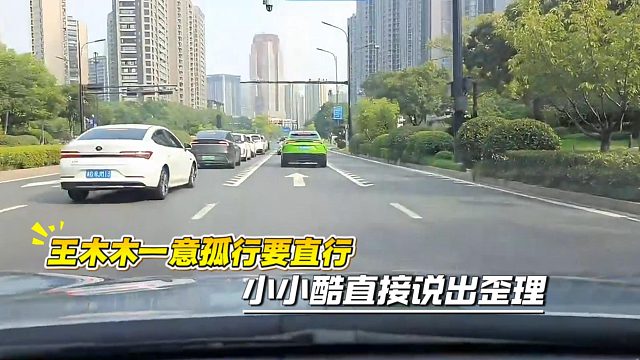 王木木一意孤行要直行，小小酷直接说出歪理