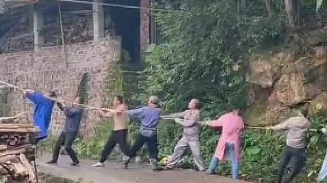 砍树严重失误，砍口方向不对