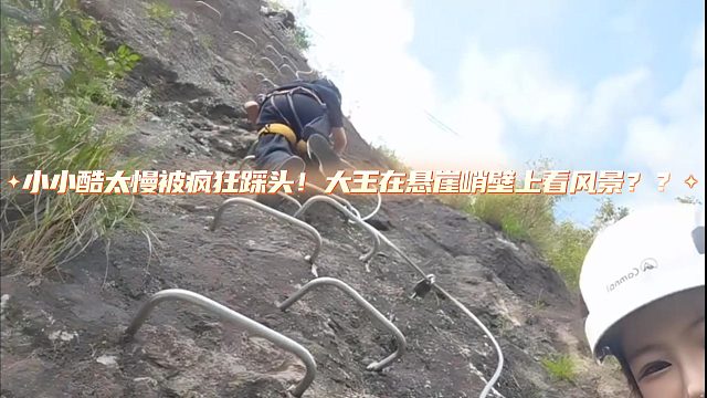 小小酷太慢被疯狂踩头！大王在悬崖峭壁上看风景？？