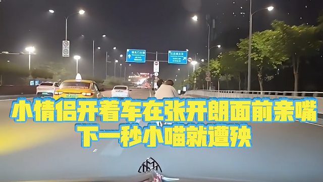 【集梦张开朗【233】】小情侣开着车在张开朗面前亲嘴，下一秒小喵就遭殃