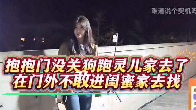 抱抱门没关狗跑灵儿家去了，在门外不敢进闺蜜家去找