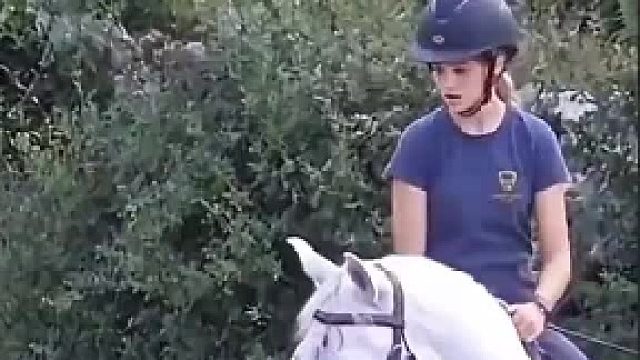 感觉它们两是发小，碰头那一下就感觉很深情