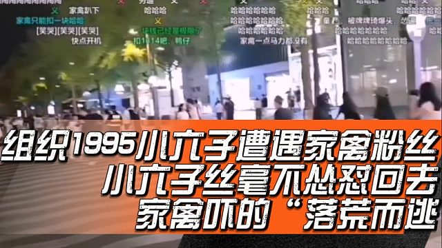 组织1995小六子遭遇家禽粉丝，小六子丝毫不怂怼回去，家禽吓的“落荒而逃”
