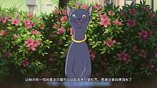 初中少女居然嫁给猫？看完好治愈！猫国奇幻冒险之旅《猫的报恩》