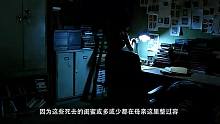 【晚上别看的恐怖片】- 灰姑娘