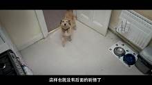 【三分钟解读】-魔法教师