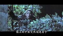 西西里的美丽传说