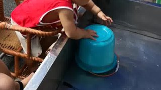 屌絲抓魚
