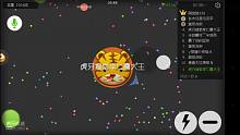 球球大作战