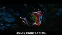 只因牧师浏览了一下小网站，就引发8条人命，小伙也是懵逼了