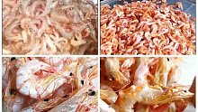 纯手工制作的天然海虾干，补钙佳品
