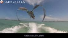 美女捡到一条变异得鲨鱼宝宝，养了6个月就长成了巨兽，闯了大祸