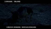 9隔山有眼