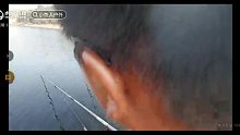 小鱼人户外 水库钓鱼啦