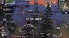 一人，一狗，一枪，一地，一城
