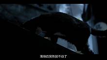 黑龙江猫脸老太太诡异事件，是真的吗？