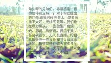 猎人小武之重返荒野
