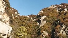 站在那山岗上