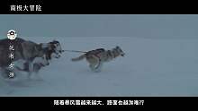 南极大冒险