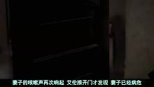 【奥雷】丈夫虐猫时误杀妻子 为掩罪行将妻子砌进墙壁里